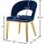 Roberto Velvet Dining Chair with Gold Iron Legs