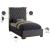 Lana Velvet Twin Size Bed