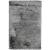 Carter Shag Handwoven Poly/Cotton 2' x 3' Rug