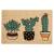 Planter Friends 2' x 3' Doormat