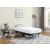 Mabel Platform Bed Frame, Twin XL Size