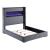 Tisdall Upholstered Queen Flame Visualizer Bed