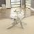 Laila Glass/Metal Coffee Table