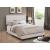 Boyd Fabric Upholstered Bed w/Nailhead Trim