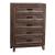 Ridgecrest Wood Chest w/5 Drawers