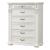 Platinum 6-Drawer Wood Veneer Chest