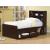 Phoenix Wood Bookcase Bed w/Underbed Storage