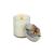 Ginko Single-Wick Wax Candle