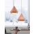 Forecast Metal Ceiling Lamp