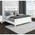 SM Calipso Wood/Velvet Padding Bed w/Led