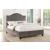 Carlow Velvet Fabric Bed, Full Size