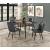 Clemente Rectangular Glass/Metal Dining Room Set