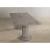 Gabrian Wood Rectangular Dining Table