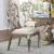Esteban Velvet/Wood Dining Side Chair