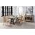 Nathaniel Wood Extendable Dining Room Set
