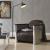 Easton PU Accent Chair, Aluminium Frame