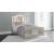 Chevanna Velvet Upholstered Panel Bed with LED Backlight