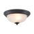 Ceiling Essentials 2-Light Medium Flushmount