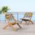 Sunbeam Synthetic Rattan Weave/Wood Outdoor Lounge Chair