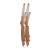 Tide Synthetic Rattan Weave/Wood Outdoor Lounge Chair