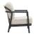 Rein Olefin/Aluminum Outdoor Accent Chair