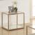 Cora Glass/Metal End Table with Mirror Shelf