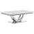 Adabella Faux Marble Rectangle Coffee Table with Chrome U-base