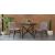 Iria Rattan Dining Chair