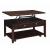 Bradford Wood Veneer Rectangular Lift Top Coffee Table