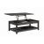 Cliffview Lift Top Coffee Table with Storage Cavities