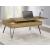Fanning Wood Veneer Lift Top Storage Coffee Table