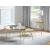 Kaelyn 2-piece Mirrored Top Nesting Coffee Table