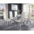 Gianna Glass/Steel Dining Room Set