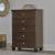 SM Danabrin Wood Chest w/5 Drawers
