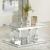 Breena Mirrored Rectangular Coffee Table