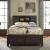 Thornwood Hills Bookcase Bedroom Set | Rustic Storage
