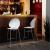 Basil Polypropylene/Metal Counter Stool
