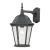 Temple Hill 1-Light Coach Lantern, Configuration 2