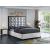 Taj Velvet Queen Size Bed
