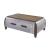 Brancaster 82855 Wood/Aluminum Storage Coffee Table