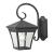 Ridgewood 1-Light Coach Lantern