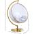 Luna Acrylic Swing Bubble Accent Chair with Gold Metal Base