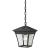 Ridgewood 1-Light Pendant Lantern