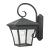 Ridgewood 1-Light Large Coach Lantern