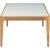 Gwynn Frosted Glass/Wood Rectangular Coffee Table