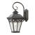 Mendham 1-Light Small Coach Lantern