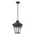 Mendham 1-Light Pendant Lantern