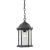 Spring Lake 1-Light Hanging Light