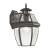 Ashford 1-Light Coach Lantern