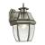 Ashford 1-Light Coach Lantern